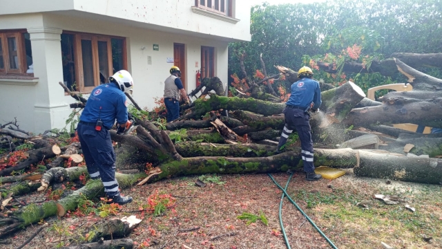 Hechos menores por lluvias registradas en Morelos: CEPCM