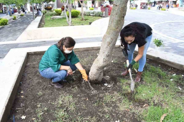 La rehabilitación de los jardines públicos contribuirá a mejorar la imagen urbana de la Heroica.