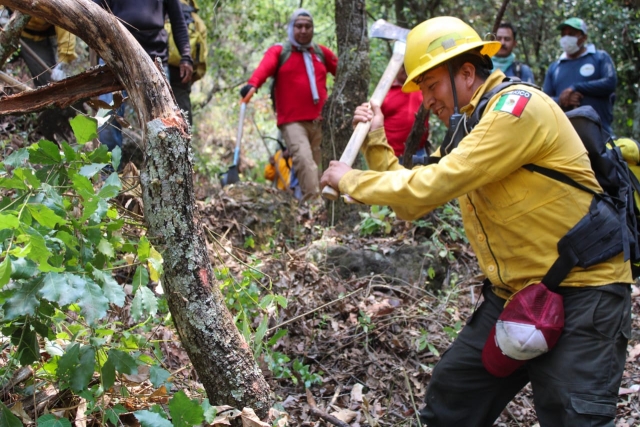 Reanudan trabajos de combate a incendio forestal en Tepoztlán y Tlayacapan