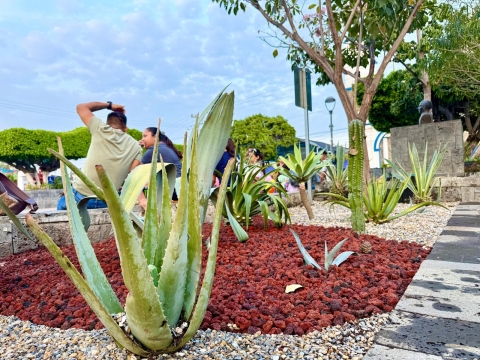 Implementa Gobierno de Jiutepec programa de embellecimiento y rehabilitación de espacios públicos