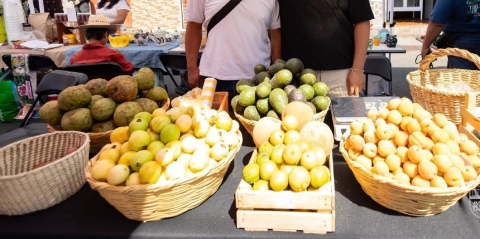 El municipio anunci&oacute; que la feria acercar&aacute; innovaci&oacute;n tecnol&oacute;gica al sector agropecuario.