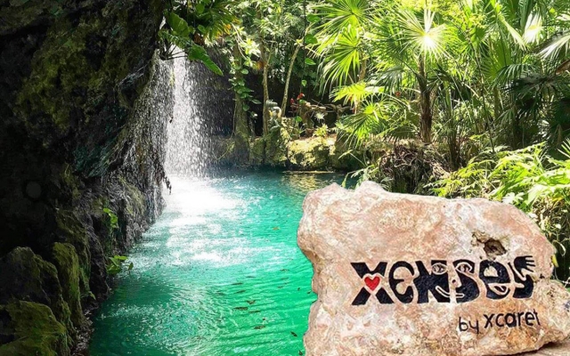 Grupo Xcaret demandará al padre de Leo.