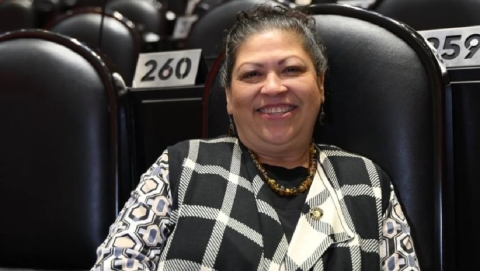 Diputada de Morena admite usar IA para revisar iniciativas: ‘Actualícense’