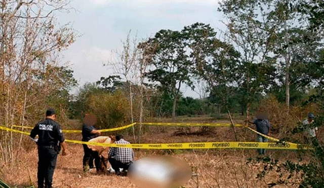 Tiran un cuerpo en campos de cultivo