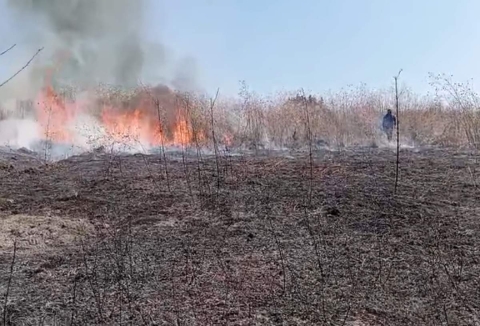 En esta temporada con recurrentes los incendios de pastizales.
