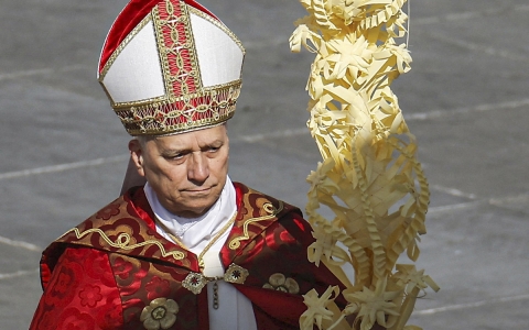 Papa Le&oacute;n XIV condena la guerra durante la Misa del Domingo de Ramos