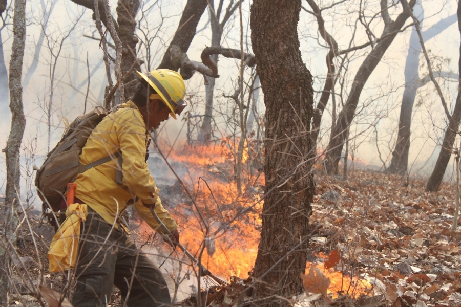 50% de control y 30% de liquidación en incendio forestal en 'El Zapote', en Tilzapotla