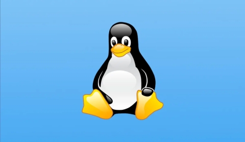 Linux le dice adiós a X11 y llega Wayland como su reemplazo