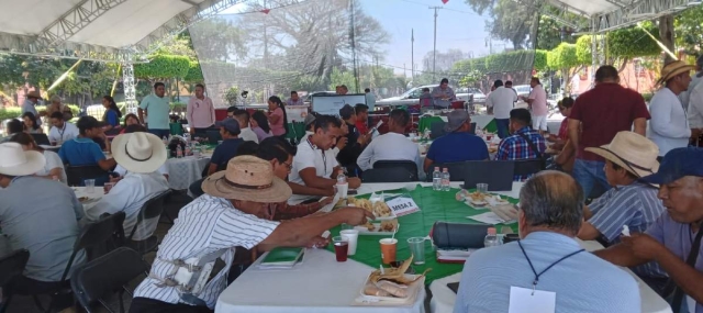 Este lunes hubo mesas de trabajo organizadas por el Impepac y en las que participó la delegación de Tetelcingo.