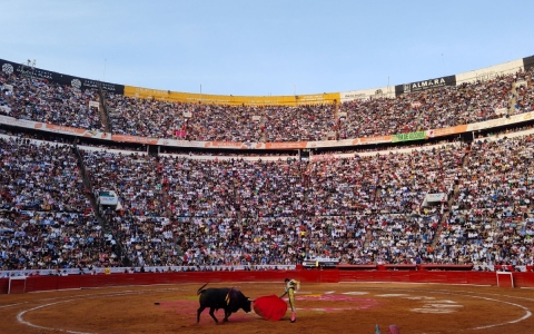 Congreso aprueba corridas de toros sin violencia en CDMX