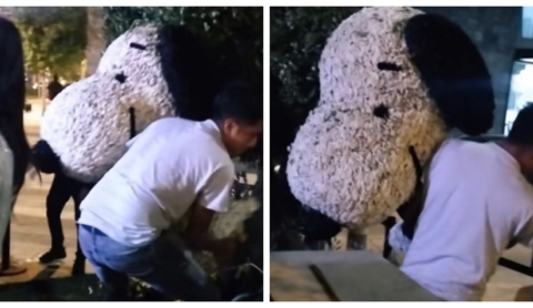 ‘Si no es arreglo de XV años’, secuestran a Snoopy del Festival de las Flores y se hace viral
