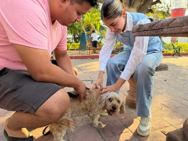 La jornada de ayer se realiz&oacute; en Tequesquitengo, difundieron las autoridades municipales.