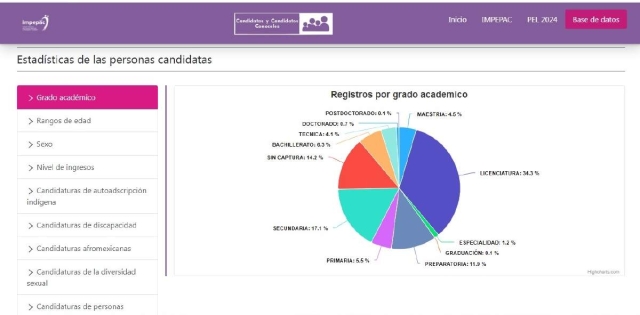 Sólo tres de los siete candidatos que buscan la alcaldía de mayor interés comercial político y social de la región sur cuentan con estudios de nivel licenciatura.