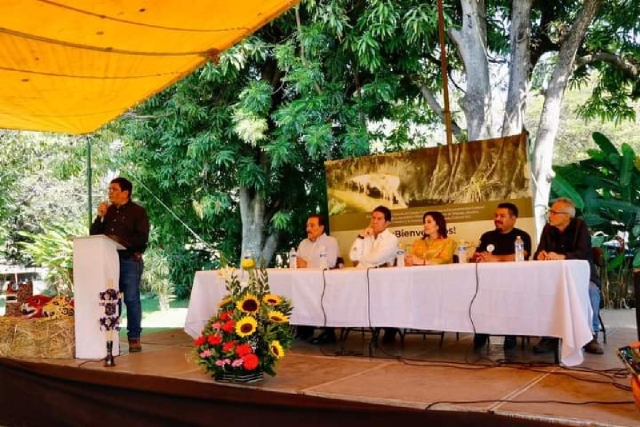 Durante dos días, los cronistas compartieron conocimientos.