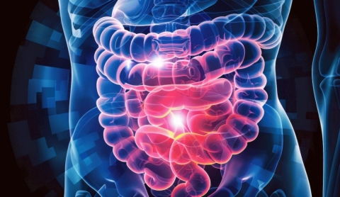 Roswell Park Comprehensive Cancer Center