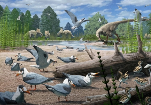 En la ilustración, aves del período Cretácico anidan junto a otros dinosaurios del mismo período.