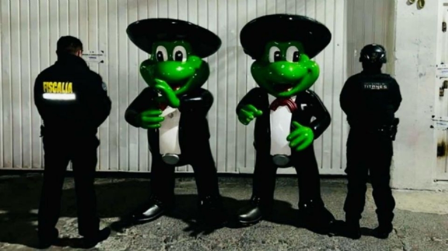 Encuentran en Nezahualcóyotl ranas del 'Señor Frog's' robadas en Acapulco