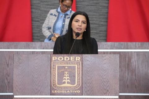 Propone diputada Melissa Montes de Oca incluir la atenci&oacute;n psiqui&aacute;trica dentro del derecho de alimentos en Morelos