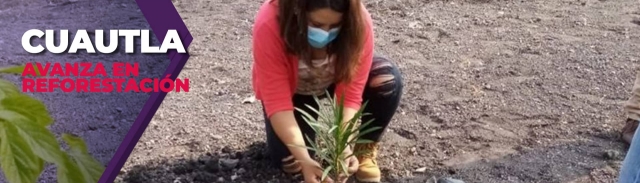 La meta es plantar mil 500 árboles durante los próximos dos meses.