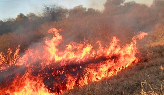 Al alza, incendios de pastizales en Jojutla