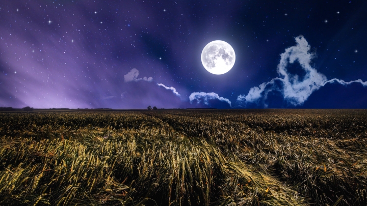 ‘Luna de cosecha’: ¿Por qué se le llama así y cuándo podrás verla?