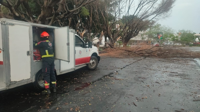 Diversas afectaciones tras lluvias de las últimas horas