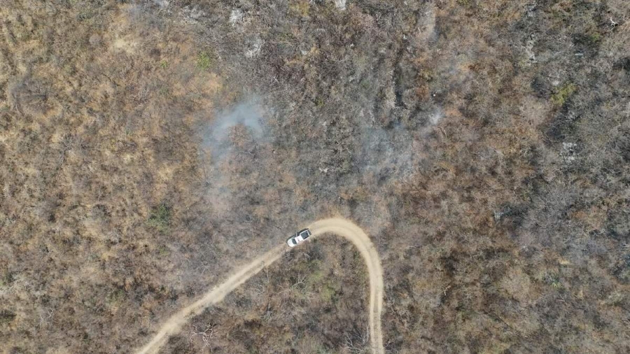 El incendio ya lleva varios días, por lo que se han sumado más brigadas para controlarlo.