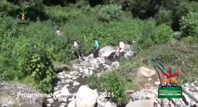 Con apoyo de voluntarios plantan 300 ahuehuetes en Santa María Ahuacatitlán