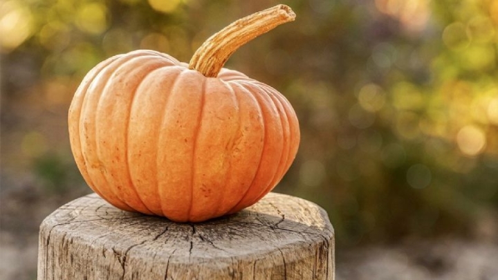 ¿Vas a tallar calabazas para este otoño? Sigue estos prácticos consejos