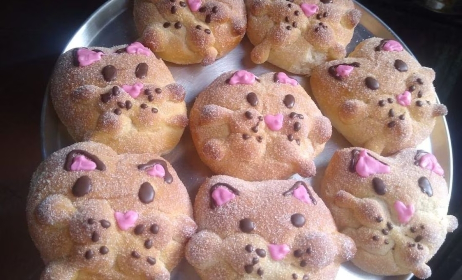 ¡El michi pan de muerto ha vuelto y aquí te decimos dónde conseguirlo antes del Día de Muertos!