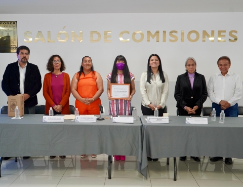 Realizan en Congreso ponencia 'Ley de Violencia &Aacute;cida, visibilizar para transformar'