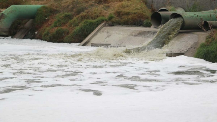 ¿Monstruo del canal Neza eres tú?, captan extraña criatura nadando en canal de aguas negras