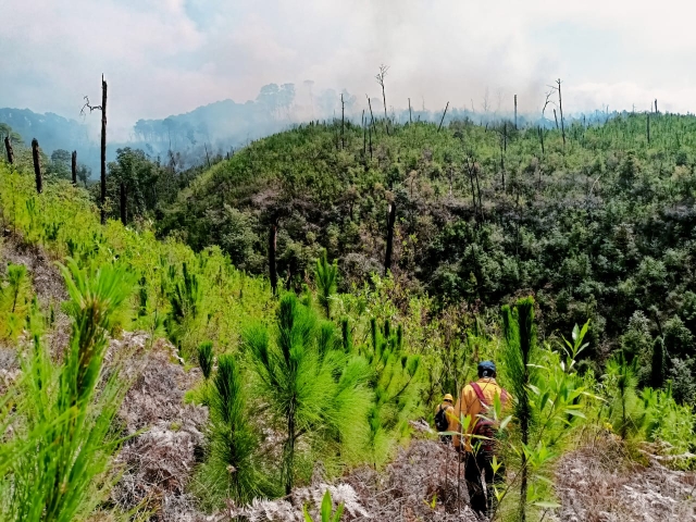 Activo, incendio forestal en el paraje &#039;El Fresno&#039; en Santa María