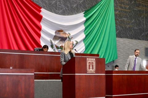 Llama diputada Andrea Gordillo a combatir trabajo infantil