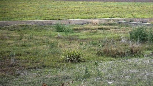 Lo mataron a cuchilladas en un campo de cultivo