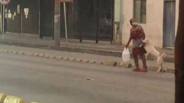 Perro le da la pata a su dueña para cruzar la calle.