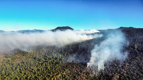 182 brigadistas combaten incendio forestal en Coajomulco