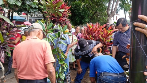 Siembran árbol en memoria del activista Gustavo Salgado, asesinado hace 10 años