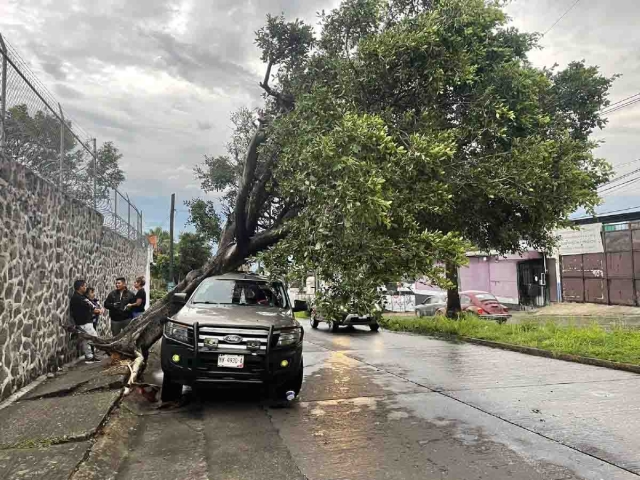 Protección Civil brindó auxilios en diversos puntos del municipio.