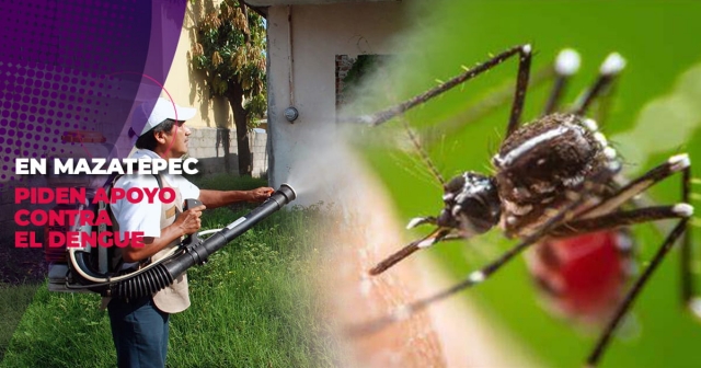 Vecinos piden combatir el mosco transmisor del dengue