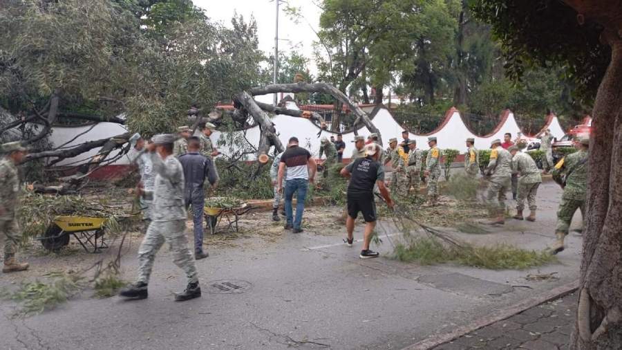 Varios elementos del Ejército retiraron el árbol.
