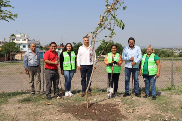 Llevan a cabo reforestación de árboles de diversas especies en Temixco