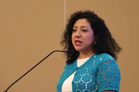  Vania Pérez Morales,  presidenta del Comité de Participación Ciudadana.