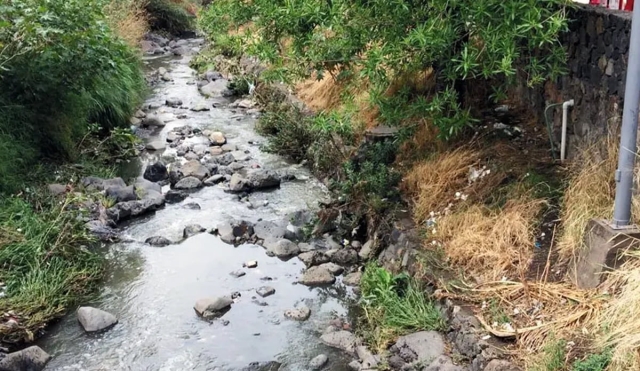 Encuentran tres cadáveres en una barranca