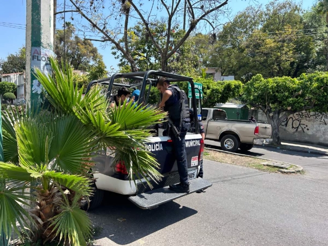 Los presuntos robacoches fueron trasladados a los separos.