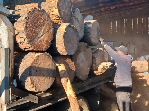 Clausuran y desmantelan dos aserraderos en Huitzilac, Morelos