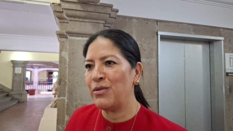 Mirna Zavala, secretaria de Hacienda. 