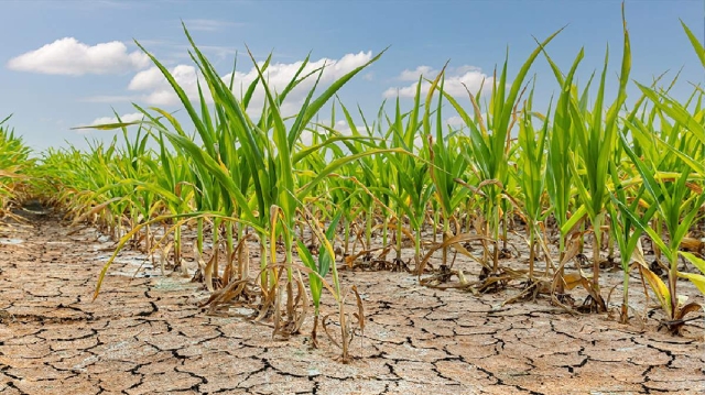  La agricultura consume el 70 por ciento del agua dulce disponible en todo el planeta, de acuerdo con el organismo internacional.