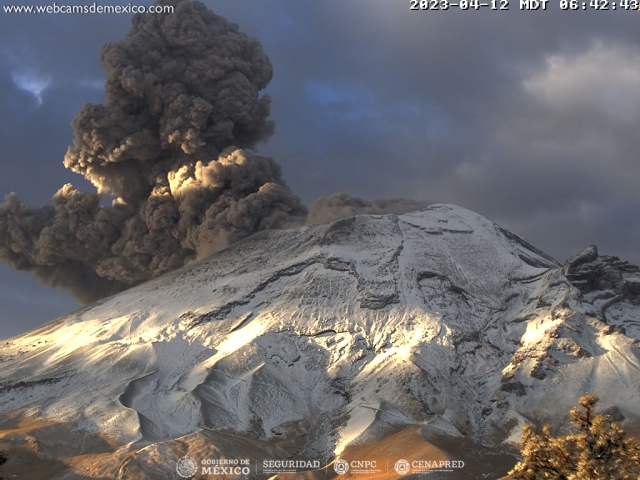 Registra volcán Popocatépetl 160 exhalaciones en las últimas 24 horas