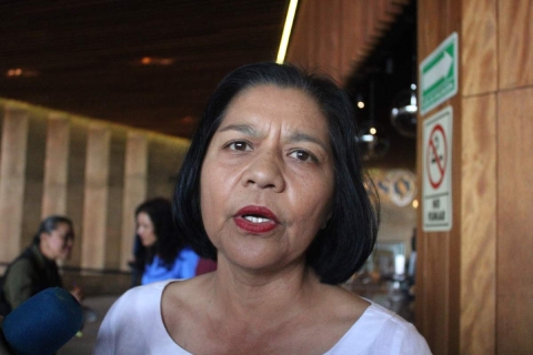 Llaman al consumo local de flor de Cempasúchil